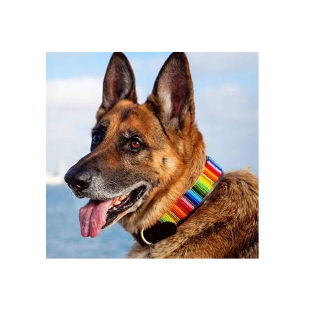 Rainbow Beaded Dog Collar - Dog Collars - Maasai