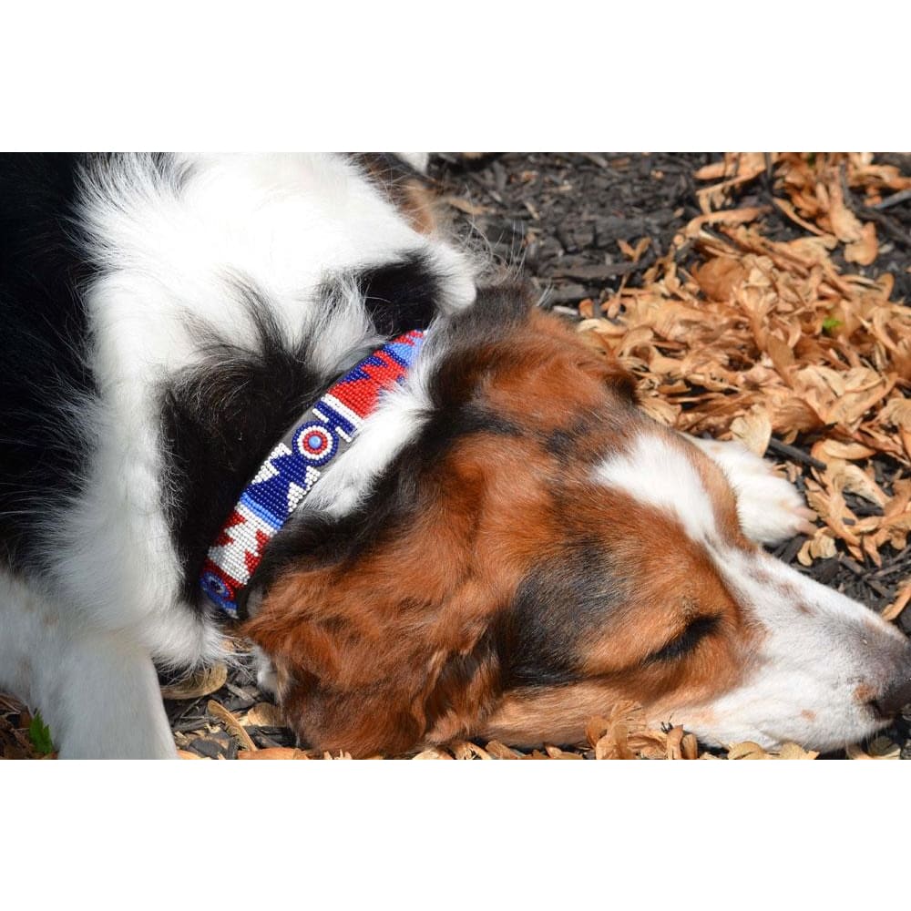 Red White Blue Beaded Dog Collar - Dog Collars - Maasai