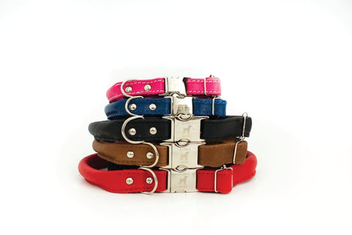 Rolled Style Black Leather Quick-Release Dog Collar - Dog
