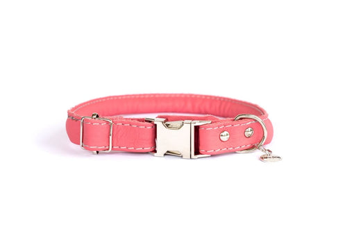Rolled Style Pink Leather Quick-Release Dog Collar - Dog
