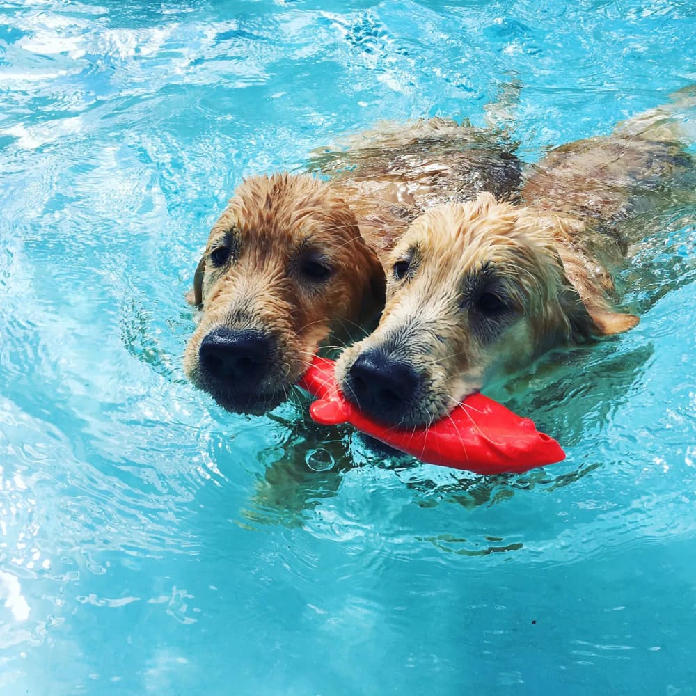 Ruff Dawg Flying Fish Dog Toy 9.5’’ x 3’’ x 1’’ - Toss