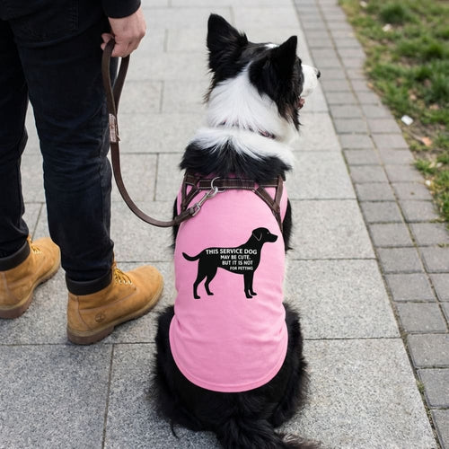 Service Dog No Petting Dog Shirt - Service Dog Shirts