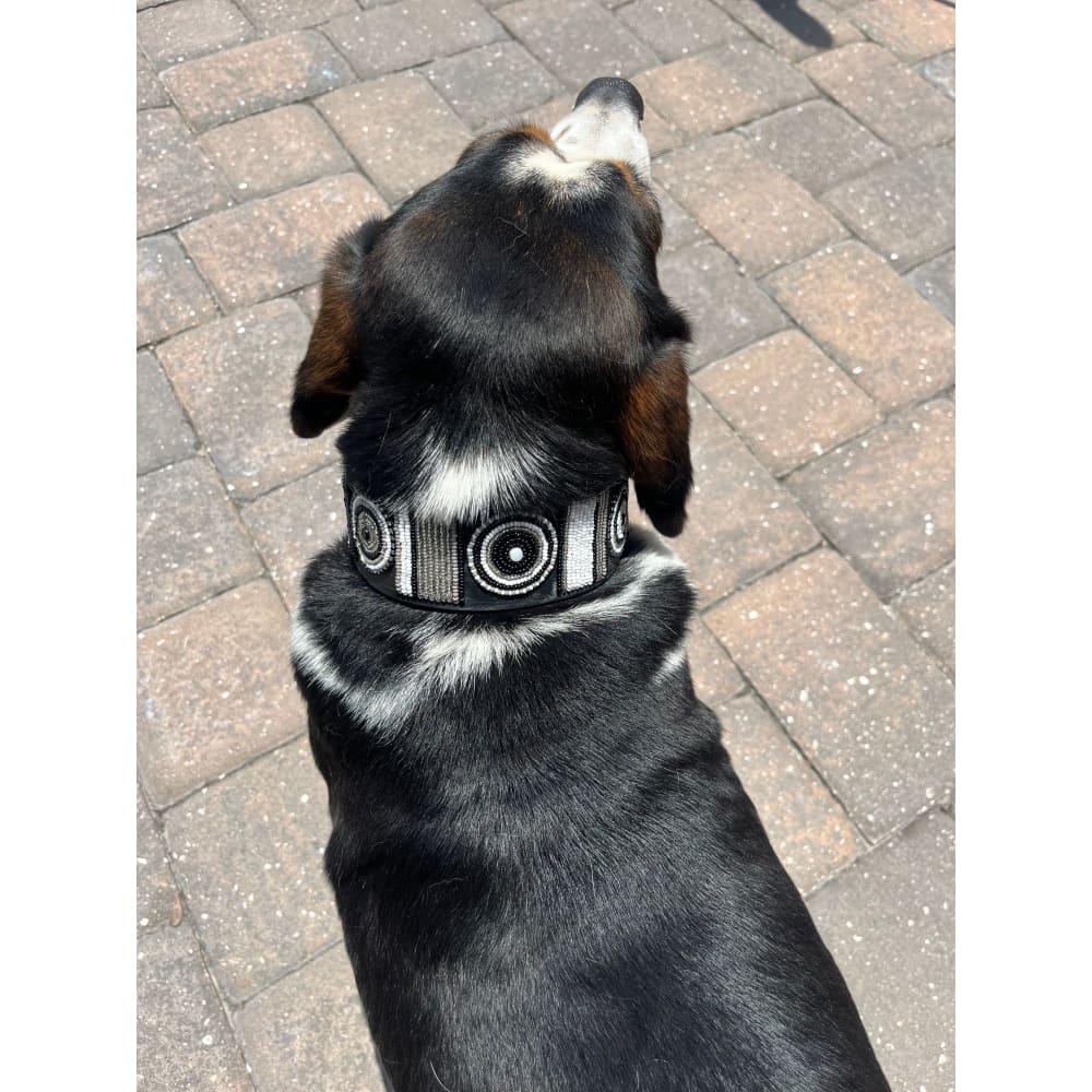 Shades of Grey Beaded Dog Collar - Dog Collars - Maasai