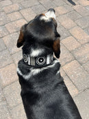 Shades of Grey Beaded Dog Collar - Dog Collars - Maasai