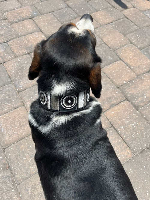 Shades of Grey Beaded Dog Collar - Dog Collars - Maasai