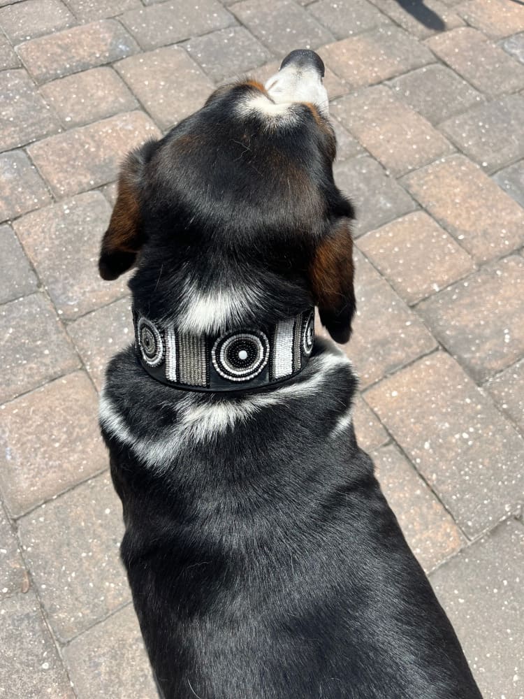 Shades of Grey Beaded Dog Collar - Dog Collars - Maasai