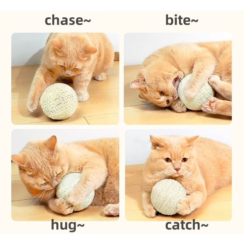 Sisal Interactive Cat Toy Ball - Interactive Cat Toys