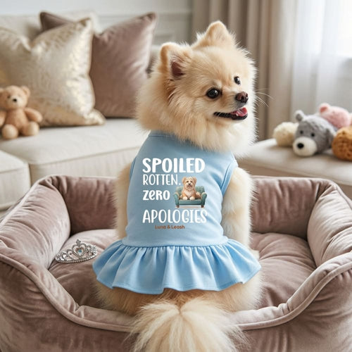 Spoiled Rotten Zero Apologies Dog Dress - Dog Dress