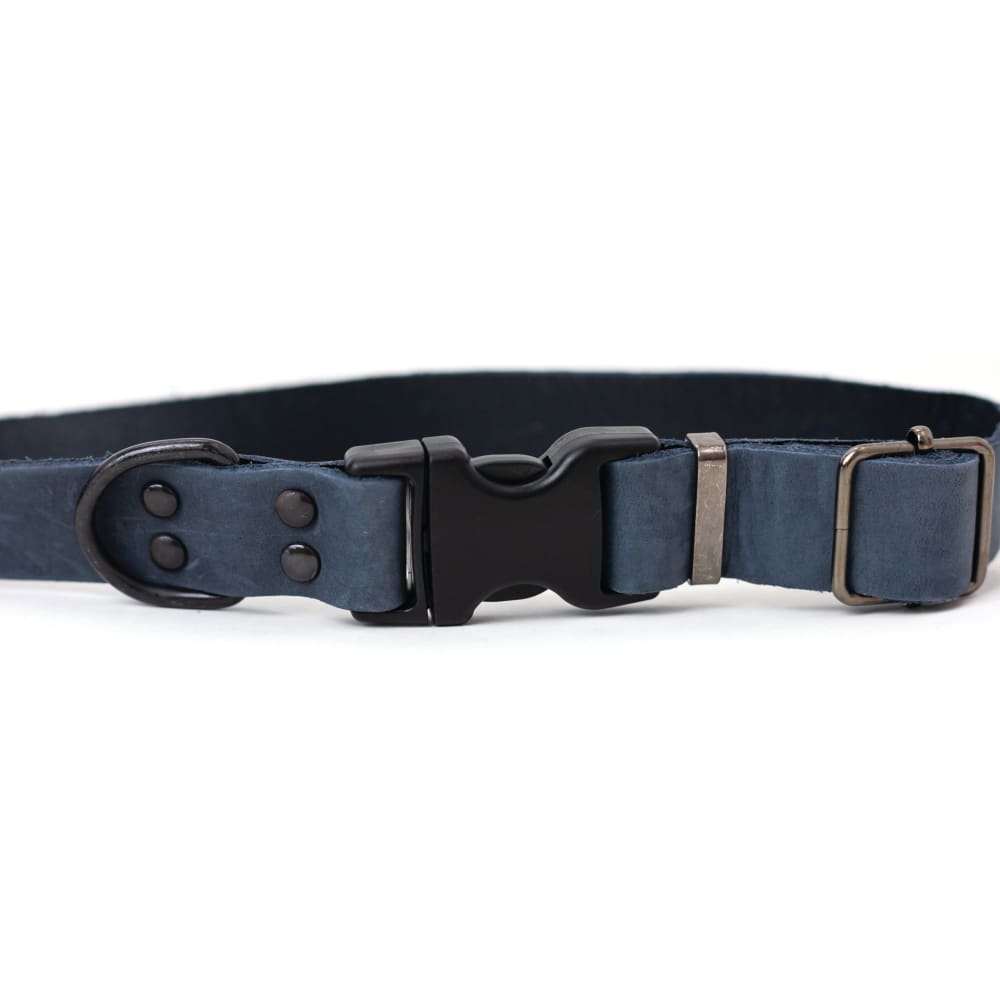 Sport Style Blue Jeans Leather Dog Collar - Dog Collars