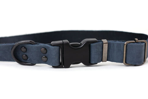 Sport Style Blue Jeans Leather Dog Collar - Dog Collars