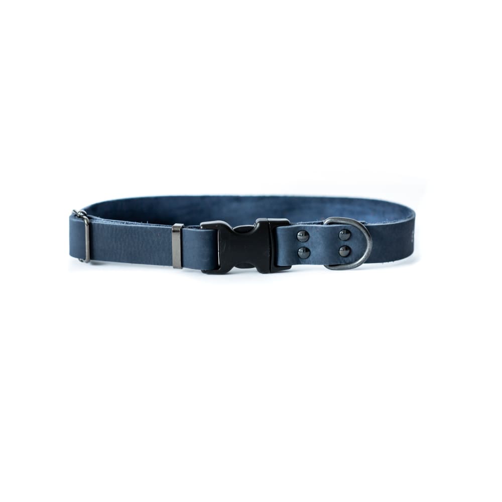 Sport Style Blue Jeans Leather Dog Collar - Dog Collars