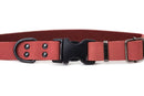 Sport Style Coral Reef Leather Dog Collar - Dog Collars