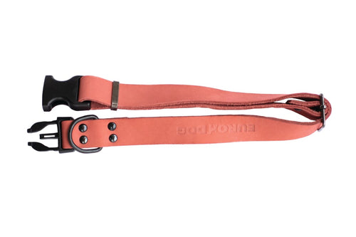 Sport Style Coral Reef Leather Dog Collar - Dog Collars