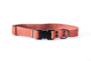 Sport Style Coral Reef Leather Dog Collar - Dog Collars