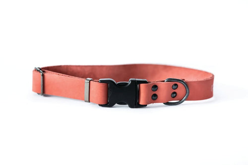 Sport Style Coral Reef Leather Dog Collar - Dog Collars