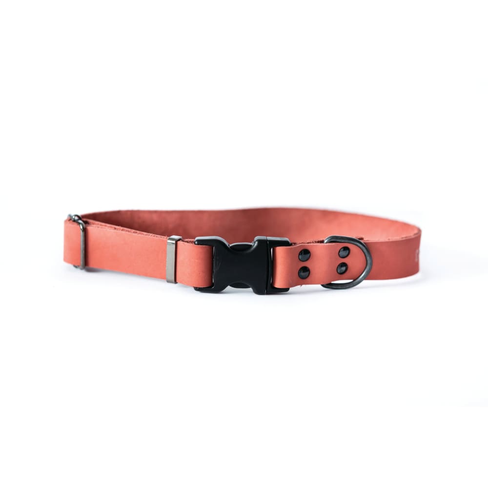 Sport Style Coral Reef Leather Dog Collar - Dog Collars