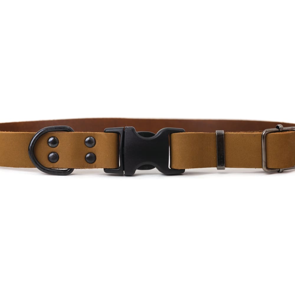 Sport Style Earth Brown Leather Dog Collar - Dog Collars