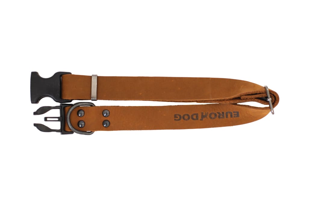 Sport Style Earth Brown Leather Dog Collar - Dog Collars