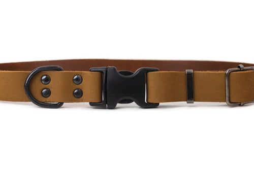 Sport Style Earth Brown Leather Dog Collar - Dog Collars