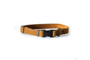 Sport Style Earth Brown Leather Dog Collar - Dog Collars