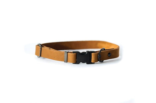 Sport Style Earth Brown Leather Dog Collar - Dog Collars