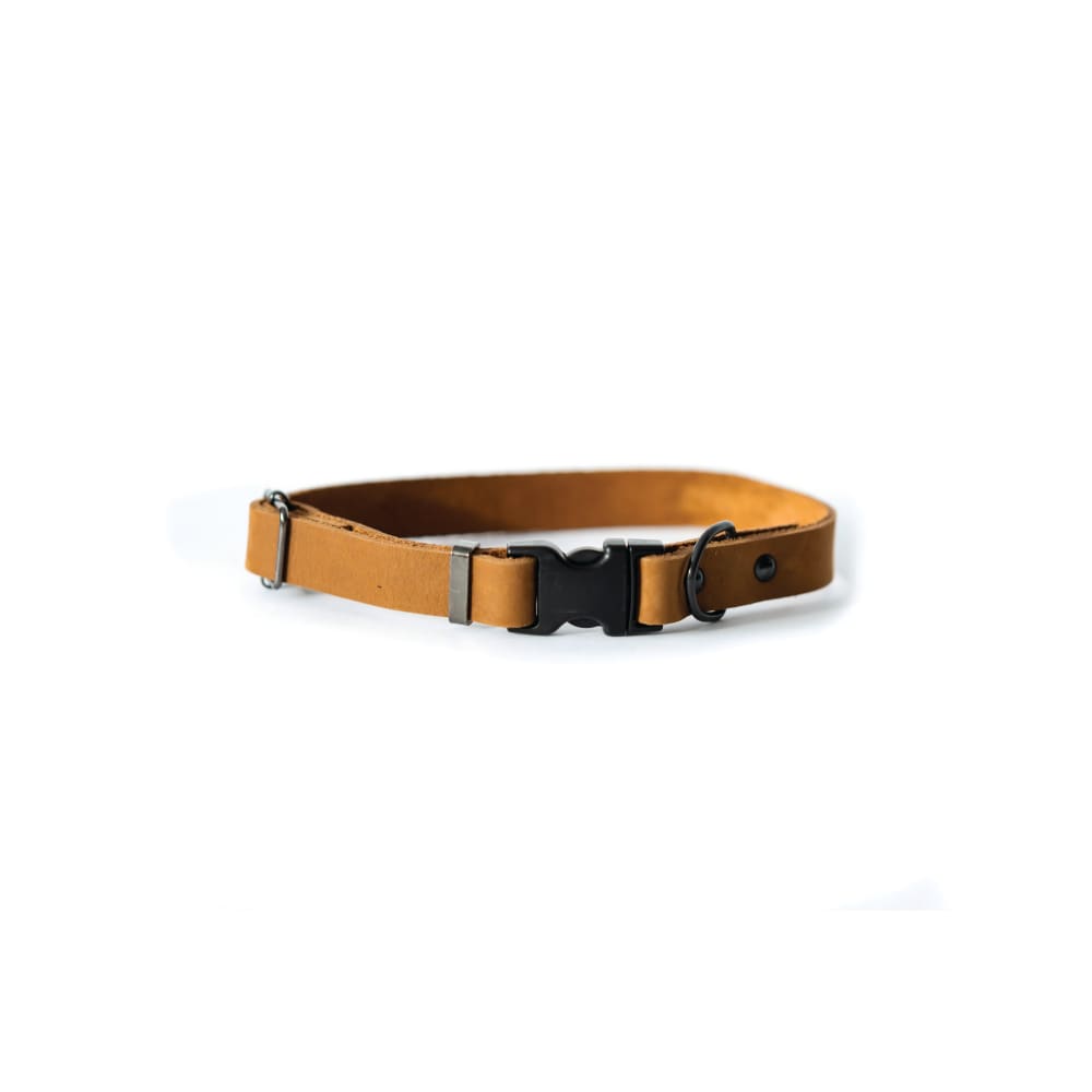 Sport Style Earth Brown Leather Dog Collar - Dog Collars