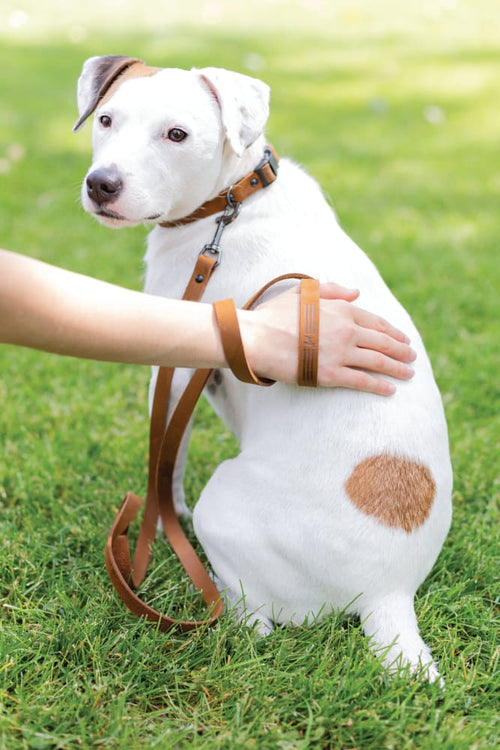 Sport Style Earth Brown Leather Leash - Dog Leash - Euro