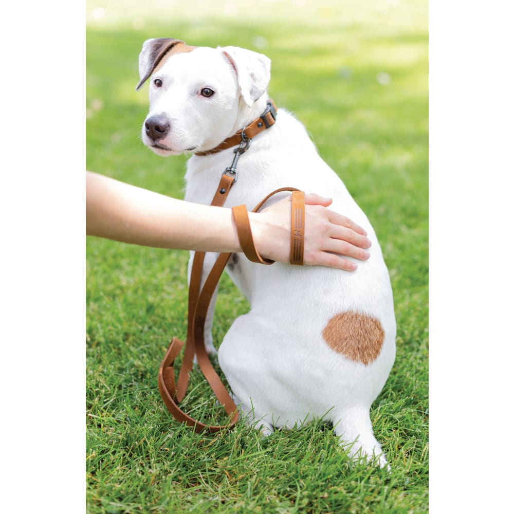 Sport Style Earth Brown Leather Leash - Dog Leash - Euro