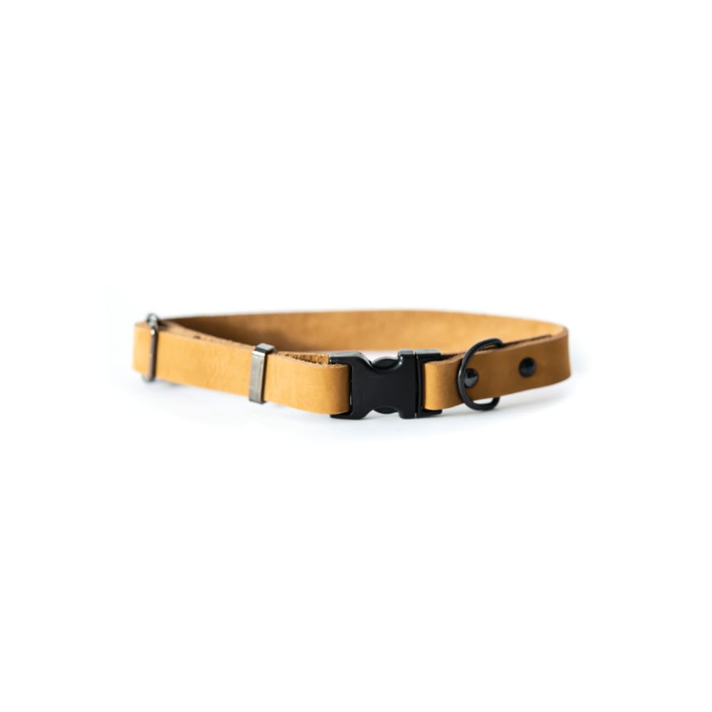 Sport Style Khaki Leather Dog Collar - Dog Collars - Euro