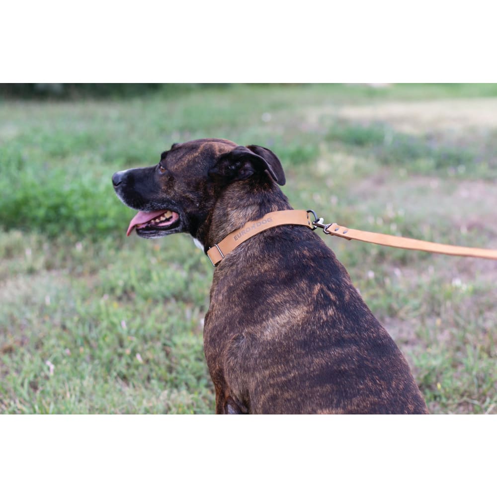 Sport Style Khaki Leather Leash - Dog Leash - Euro Style