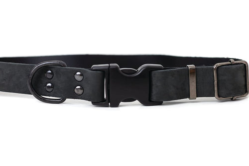 Sport Style Midnight Black Leather Dog Collar - Dog Collars
