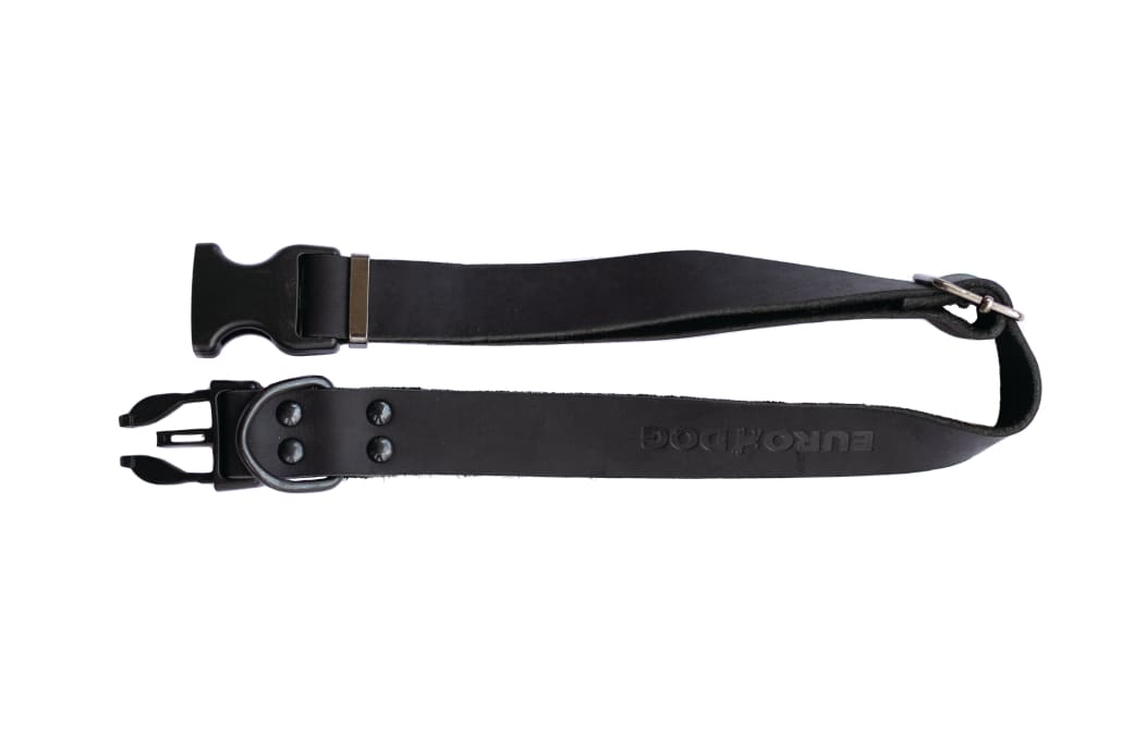 Sport Style Midnight Black Leather Dog Collar - Dog Collars