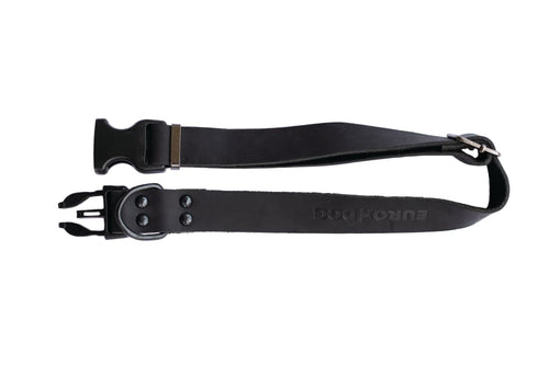 Sport Style Midnight Black Leather Dog Collar - Dog Collars