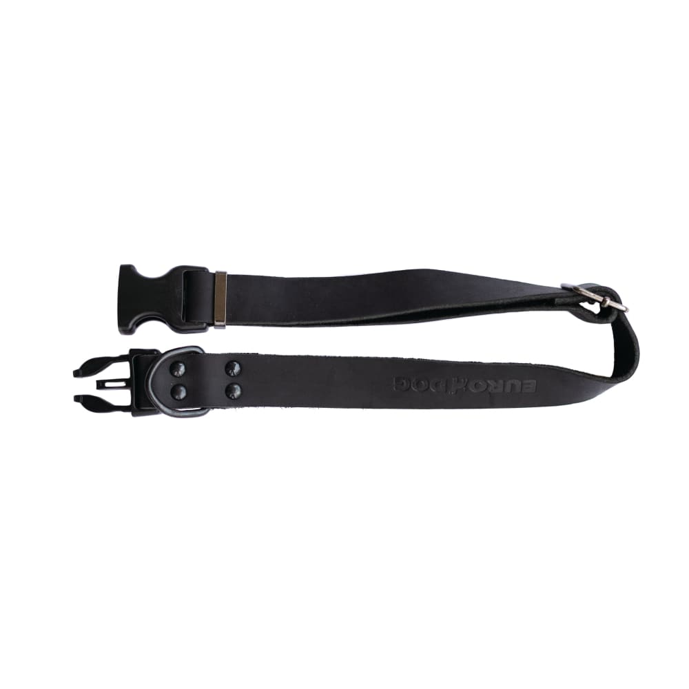 Sport Style Midnight Black Leather Dog Collar - Dog Collars