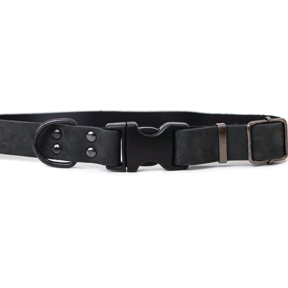 Sport Style Midnight Black Leather Dog Collar - Dog Collars