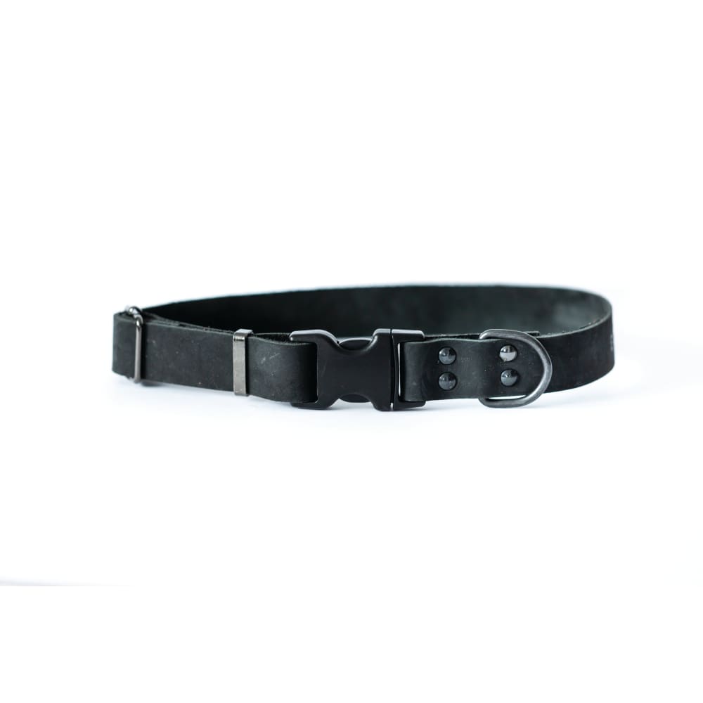 Sport Style Midnight Black Leather Dog Collar - Dog Collars