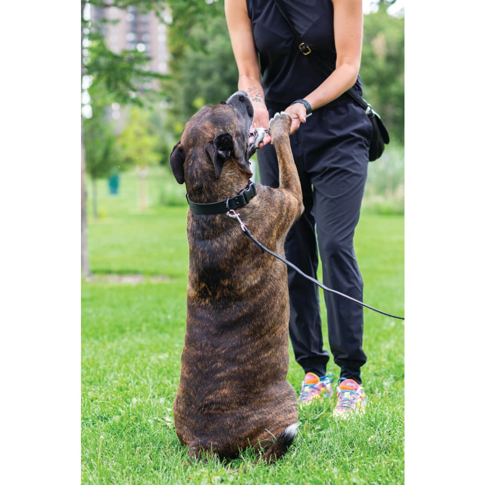 Sport Style Midnight Black Leather Leash - Dog Leash - Euro