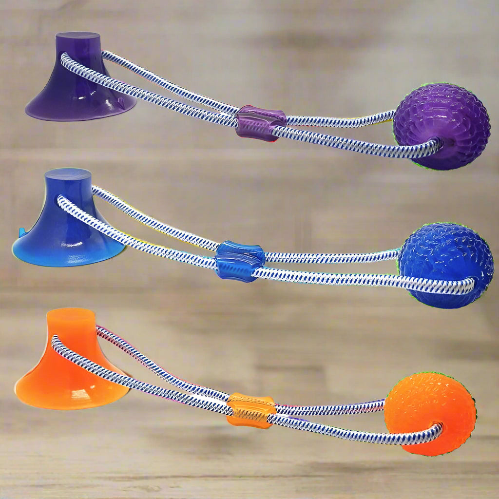 Press & Pull Interactive Dog Toy – Attaches to Door Wall