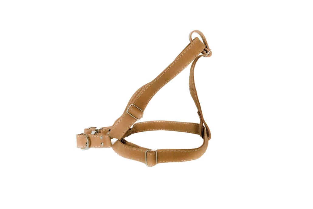 L Width 1" Girth 18" - 32" / Bark Brown Super Soft Leather
