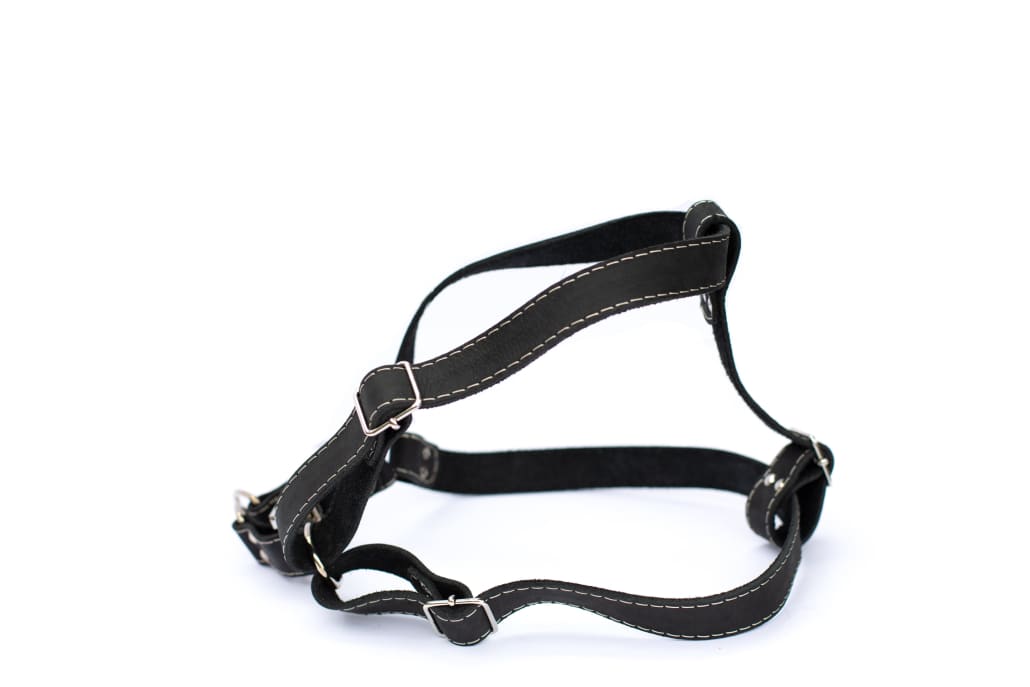 Step In Leather Dog Harness - Dog Harness - Euro Style