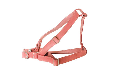 Step In Leather Dog Harness - Dog Harness - Euro Style