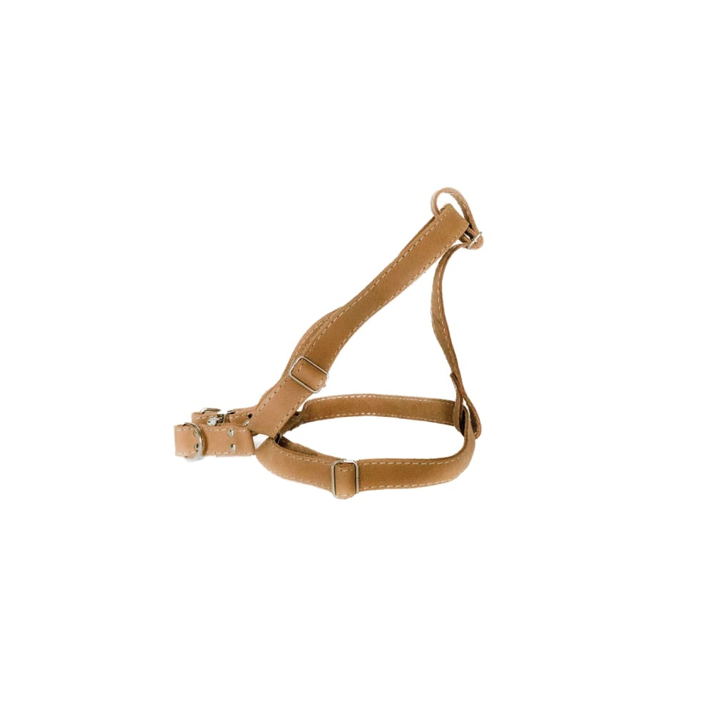 Step In Leather Dog Harness - Dog Harness - Euro Style