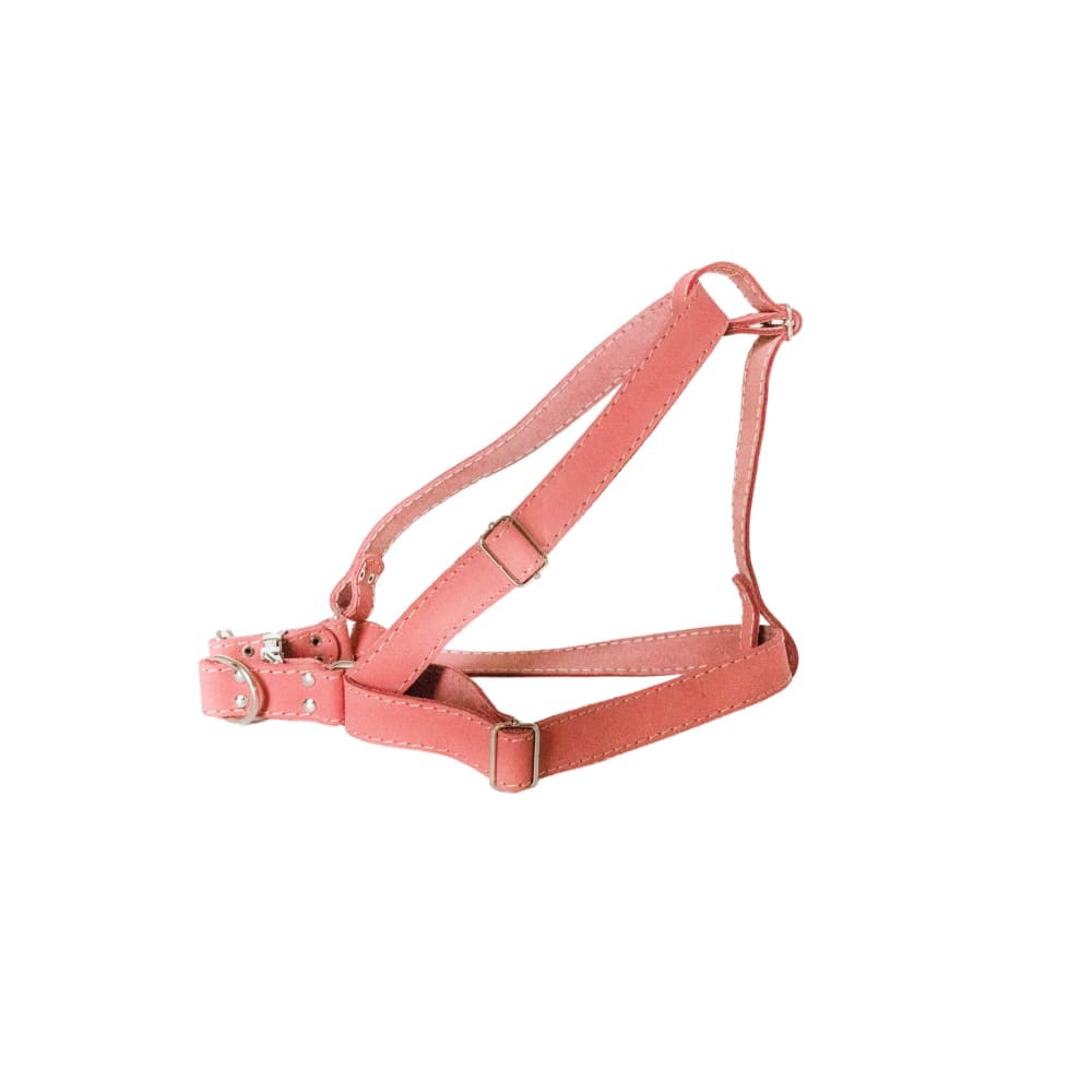 Step In Leather Dog Harness - Dog Harness - Euro Style