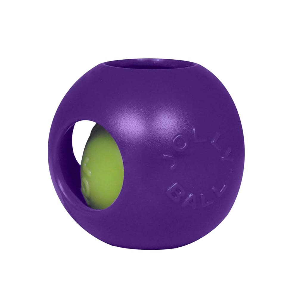 Teaser Ball Dog Toy