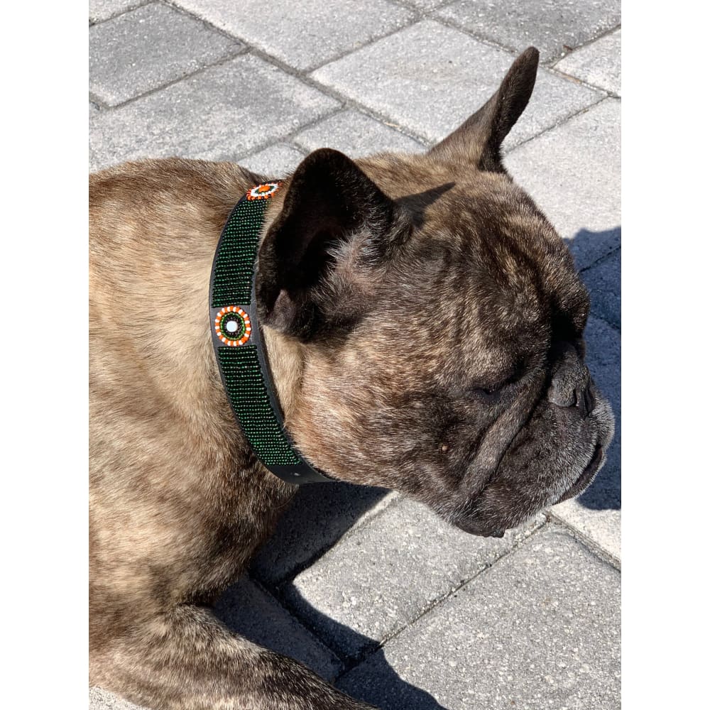 The Babington Collection Dog Collars - Dog Collars - Maasai