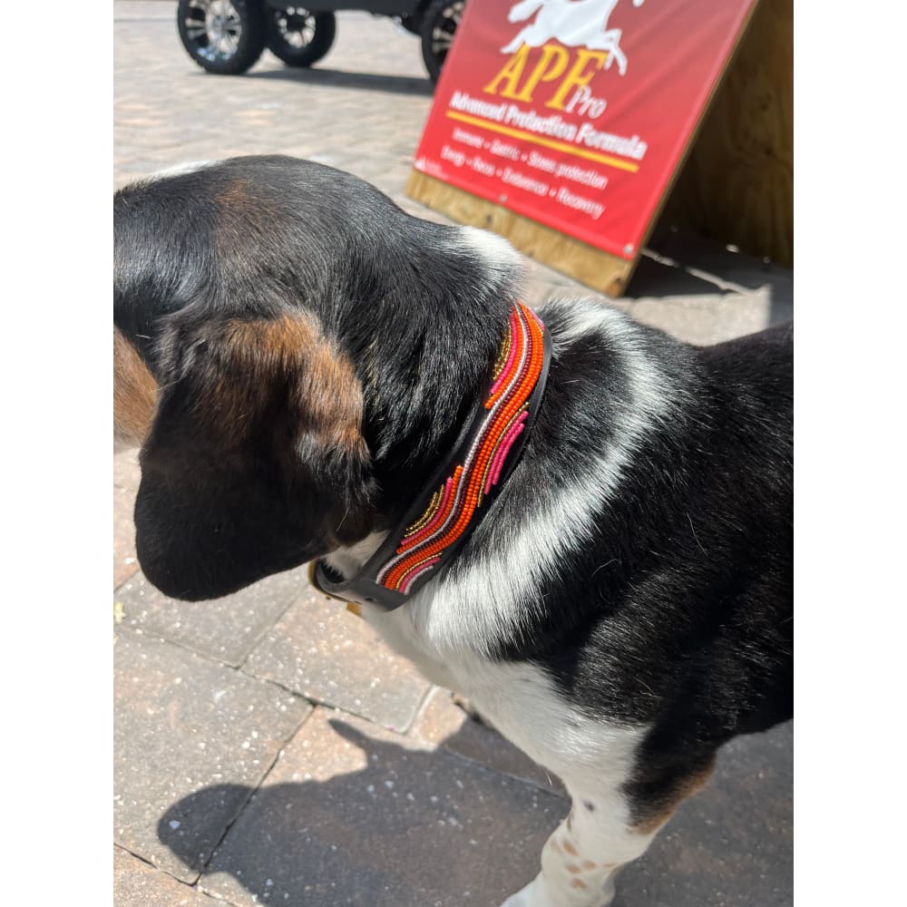 The Groove Beaded Dog Collar - Dog Collars - Maasai