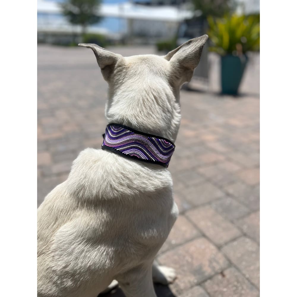 The Purple Wave Beaded Dog Collar - Dog Collars - Maasai