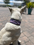 The Purple Wave Beaded Dog Collar - Dog Collars - Maasai