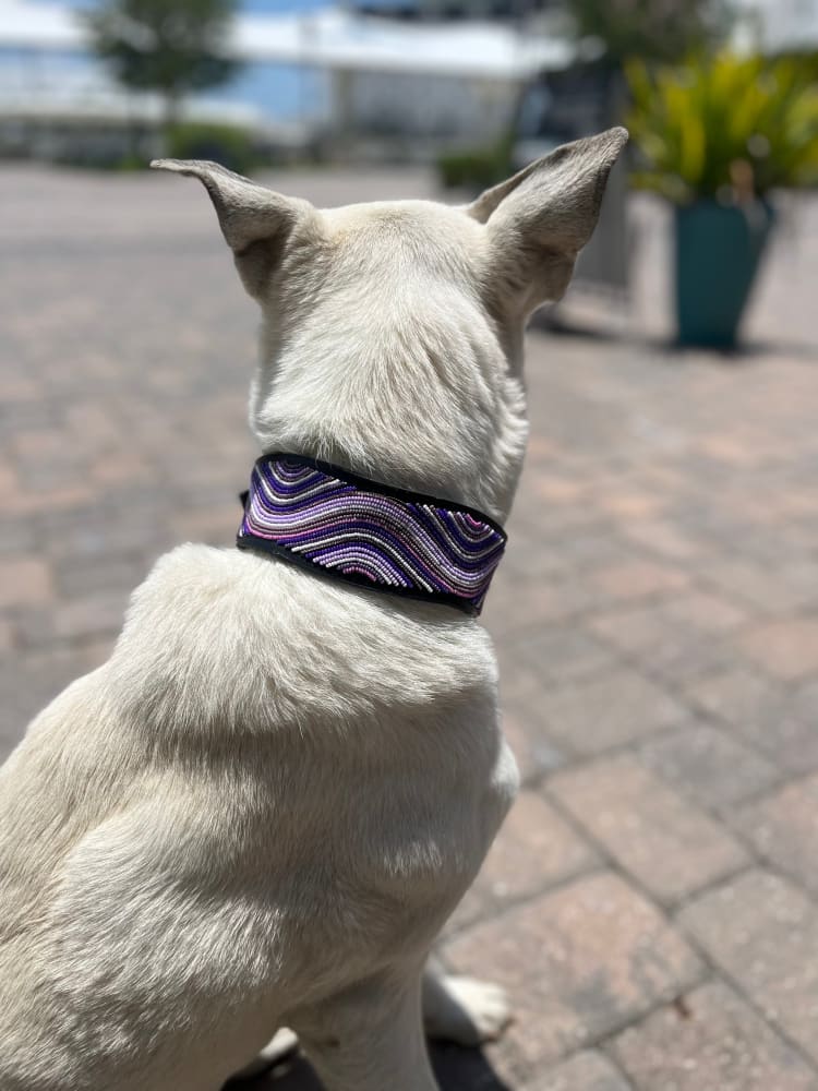 The Purple Wave Beaded Dog Collar - Dog Collars - Maasai