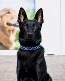 The Wave Beaded Dog Collar - Dog Collars - Maasai